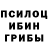 Псилоцибиновые грибы Psilocybe Sanit Samp