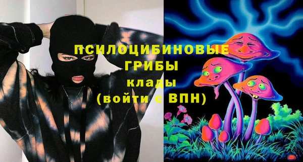 МДПВ Алексеевка