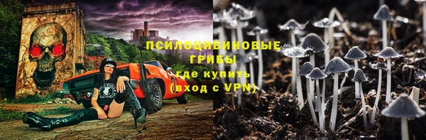 стафф Алзамай