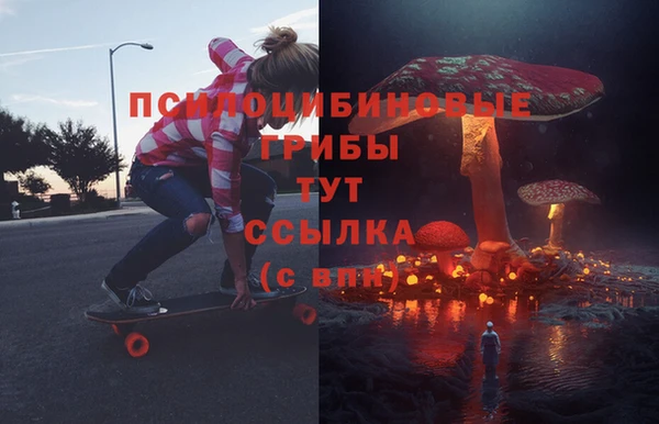 apvp Алексин
