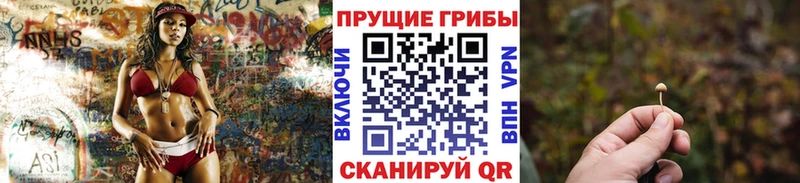 Галлюциногенные грибы MAGIC MUSHROOMS  купить наркоту  Беломорск 