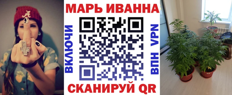 закладка  Беломорск  Канабис ГИДРОПОН 